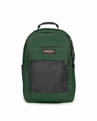 study buddy 1 11 330x413 - STUDY BUDDY